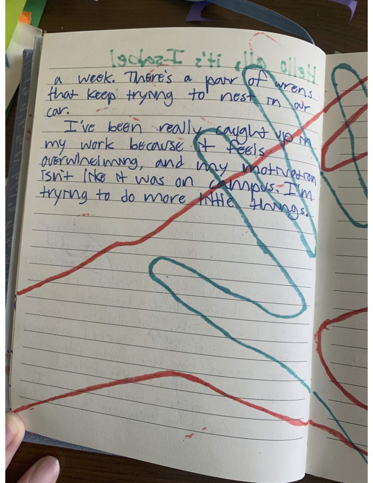 quarantinejournal14