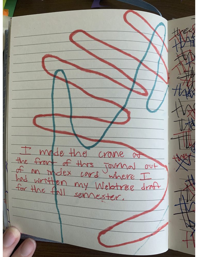 quarantinejournal16