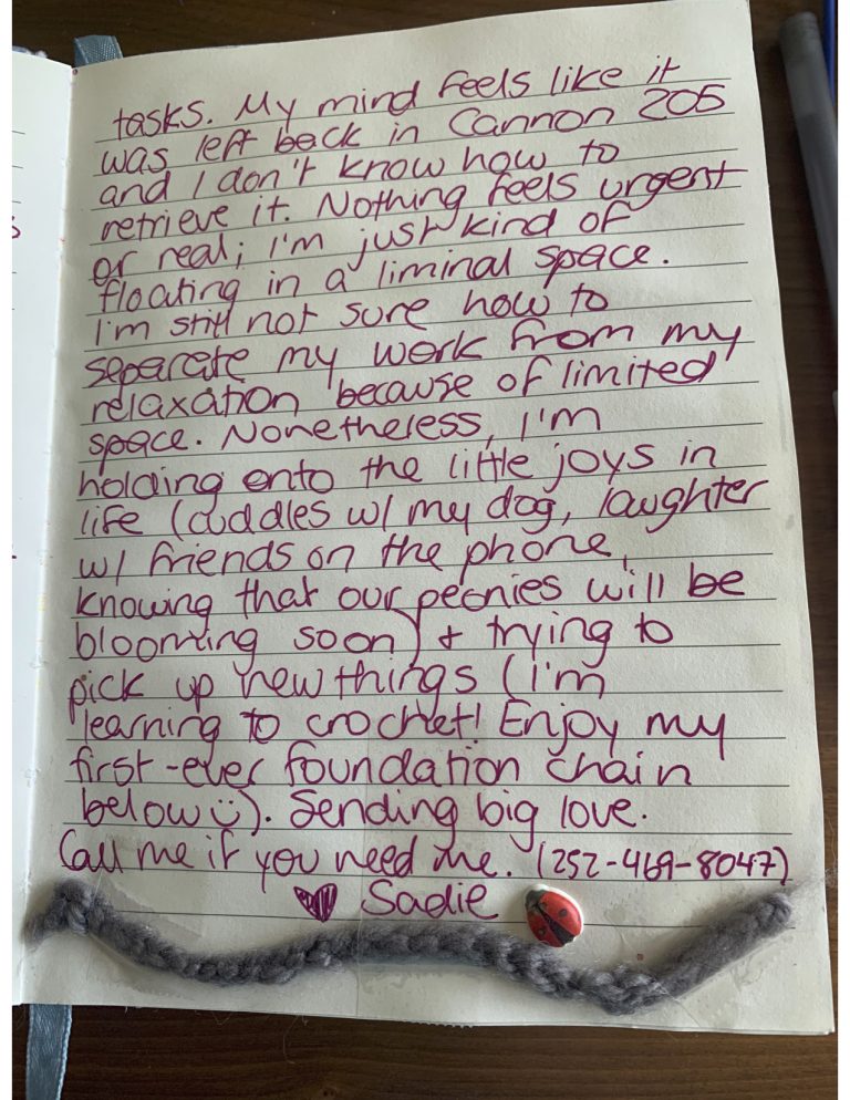 quarantinejournal9
