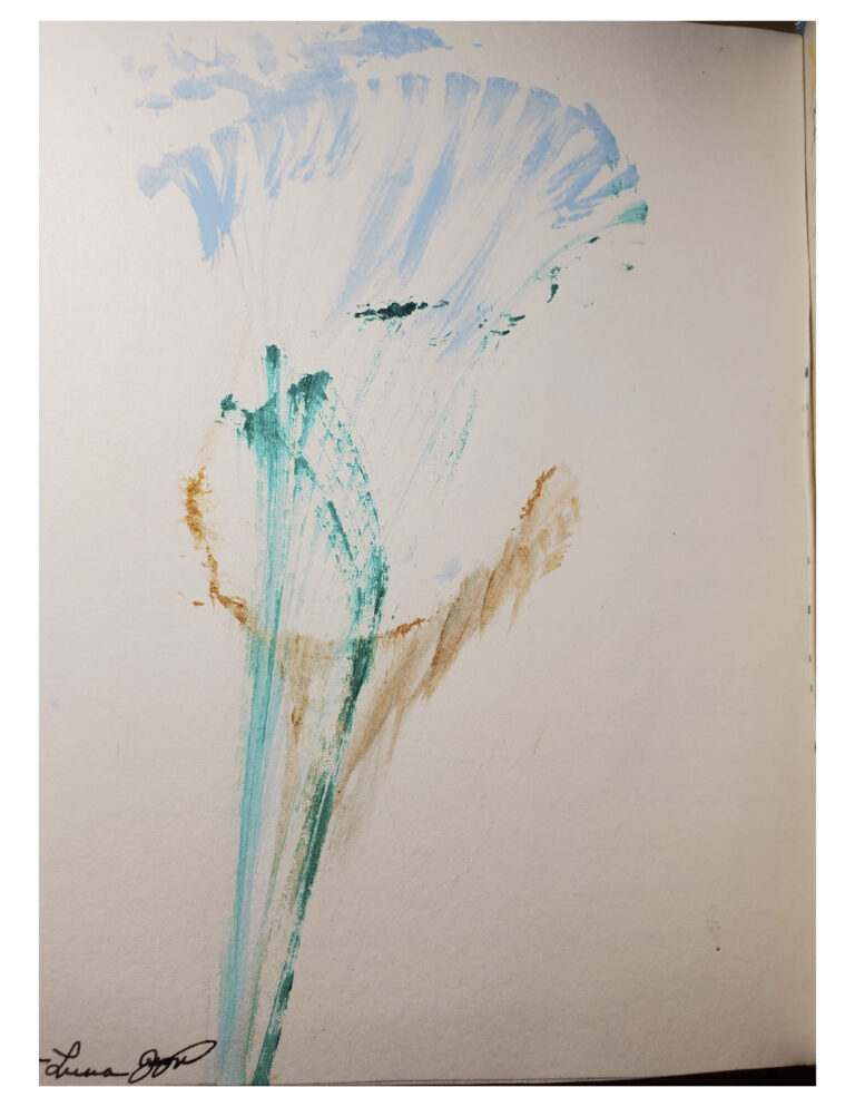 Journal Images18